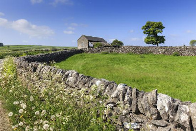 dry stone walls on a country lane